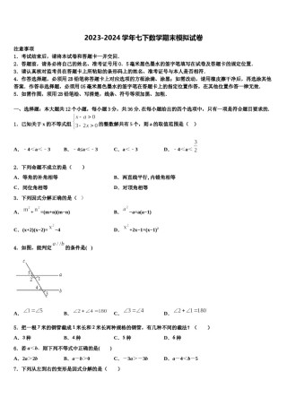 2023-2024学年山东省滨州市五校联合七下数学期末综合测试模拟试题含解析.doc