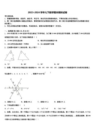 2023-2024学年山东省聊城冠县联考七年级数学第二学期期末考试模拟试题含解析.doc