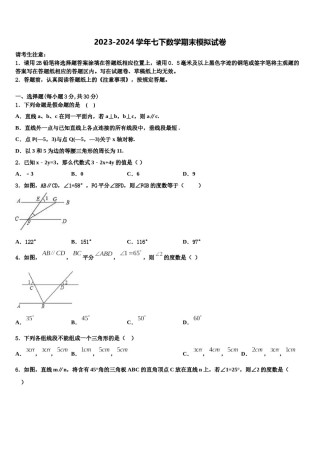 2023-2024学年山东省聊城市东方中学数学七下期末教学质量检测试题含解析.doc