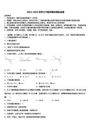 2023-2024学年山东省莱西市七下数学期末检测试题含解析.doc