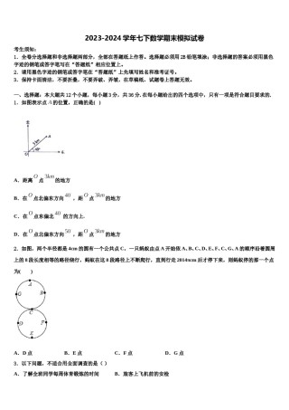 2023-2024学年山东省青岛4中七年级数学第二学期期末质量跟踪监视模拟试题含解析.doc