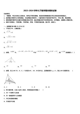 2023-2024学年山东省青岛市青岛大附属中学数学七下期末复习检测模拟试题含解析.doc