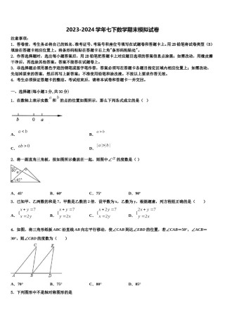 2023-2024学年山东省青岛开发区育才中学七年级数学第二学期期末达标检测模拟试题含解析.doc