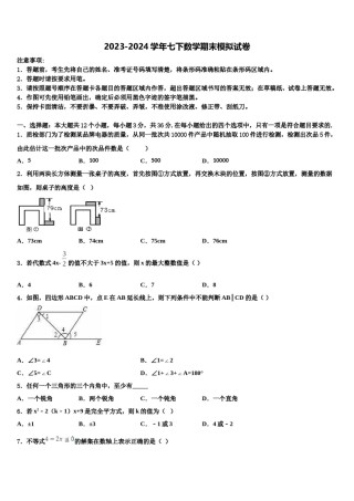2023-2024学年山西省晋城高平市七下数学期末教学质量检测试题含解析.doc