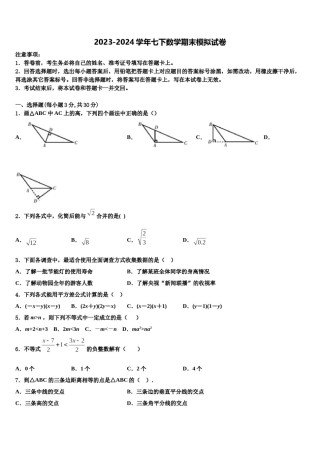 2023-2024学年广东省广州市番禺区广博学校七下数学期末学业水平测试试题含解析.doc