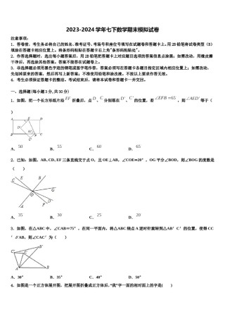 2023-2024学年广东省梅州大埔县联考七年级数学第二学期期末质量检测模拟试题含解析.doc