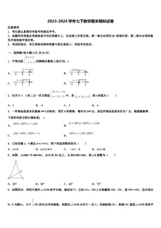2023-2024学年广东省深圳市桃源中学七年级数学第二学期期末检测试题含解析.doc