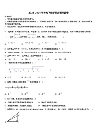2023-2024学年广东省茂名市十校联考数学七下期末达标检测模拟试题含解析.doc