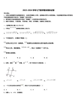 2023-2024学年广州省惠阳市惠城区数学七下期末统考模拟试题含解析.doc
