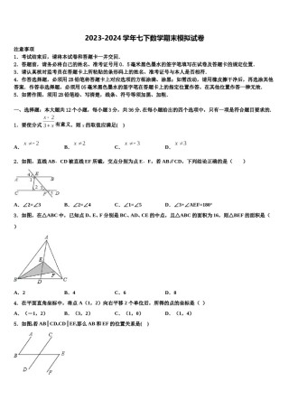 2023-2024学年广西南宁市兴宁区新兴学校七下数学期末教学质量检测模拟试题含解析.doc
