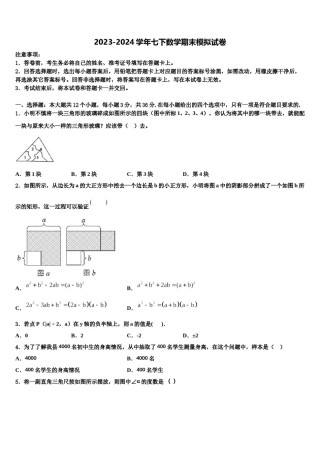 2023-2024学年广西南宁市马山县数学七下期末监测模拟试题含解析.doc