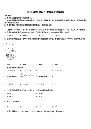 2023-2024学年广西崇左市数学七下期末综合测试试题含解析.doc