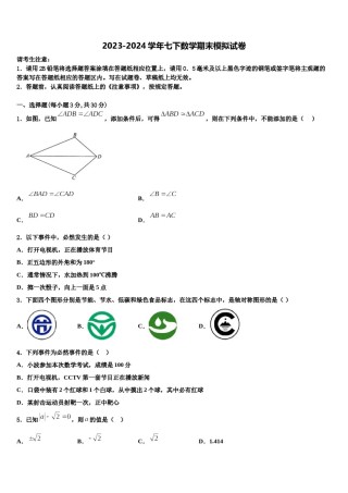2023-2024学年新疆沙雅县七年级数学第二学期期末教学质量检测试题含解析.doc