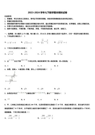 2023-2024学年昆明市云南师范大实验中学七年级数学第二学期期末考试试题含解析.doc