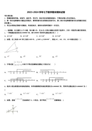 2023-2024学年江苏无锡市锡中学实验学校数学七下期末调研模拟试题含解析.doc