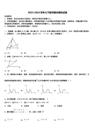 2023-2024学年江苏省句容市华阳学校七年级数学第二学期期末质量检测试题含解析.doc