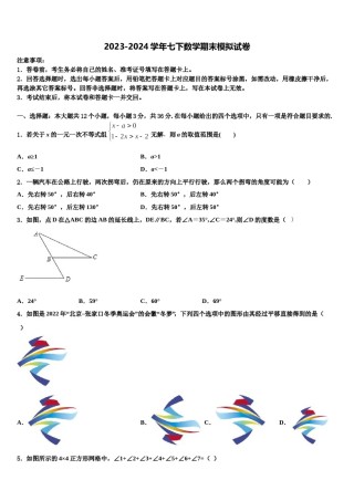 2023-2024学年江苏省宝应县山阳中学七年级数学第二学期期末考试模拟试题含解析.doc