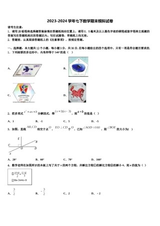 2023-2024学年江西省宜春第九中学七年级数学第二学期期末考试模拟试题含解析.doc