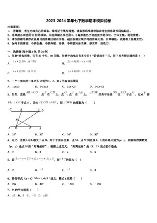 2023-2024学年江西省赣州市于都县七年级数学第二学期期末监测试题含解析.doc