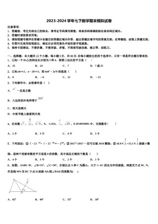 2023-2024学年河北省石家庄市裕华区实验中学数学七下期末预测试题含解析.doc