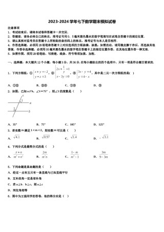 2023-2024学年河南省三门峡市七年级数学第二学期期末质量检测试题含解析.doc