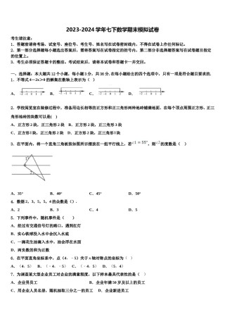 2023-2024学年河南省商水县联考数学七下期末复习检测试题含解析.doc