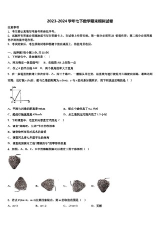 2023-2024学年河南省郑州大第一附属中学七年级数学第二学期期末学业水平测试模拟试题含解析.doc