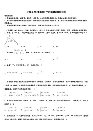 2023-2024学年河南省郑州市郑东新区美秀初级中学七年级数学第二学期期末考试试题含解析.doc