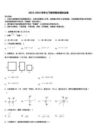 2023-2024学年浙江省嘉兴市桐乡数学七下期末质量跟踪监视试题含解析.doc