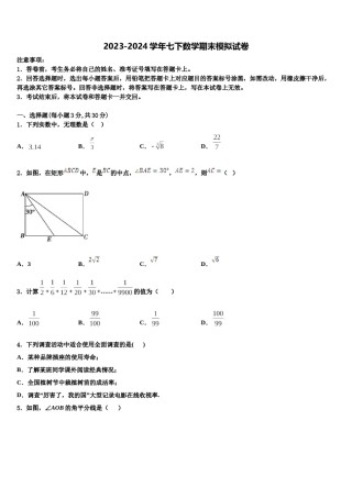 2023-2024学年湖北省孝昌县七年级数学第二学期期末检测模拟试题含解析.doc