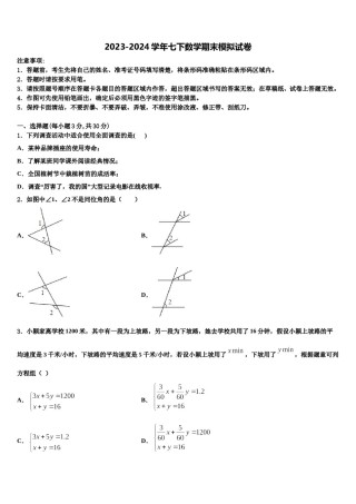 2023-2024学年湖北省枣阳市钱岗中学数学七下期末复习检测试题含解析.doc