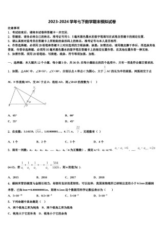 2023-2024学年湖北省武汉市梅苑中学七年级数学第二学期期末达标检测试题含解析.doc
