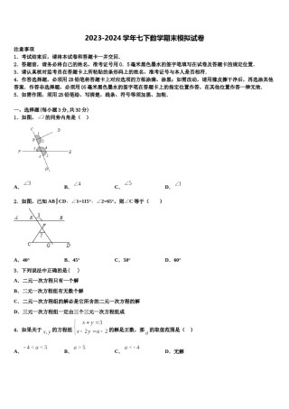 2023-2024学年湖北省武穴市第三实验中学七下数学期末教学质量检测试题含解析.doc