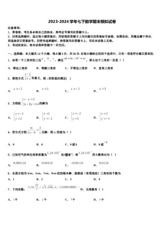 2023-2024学年湖北省通城市隽水镇南门中学七年级数学第二学期期末质量跟踪监视试题含解析.doc