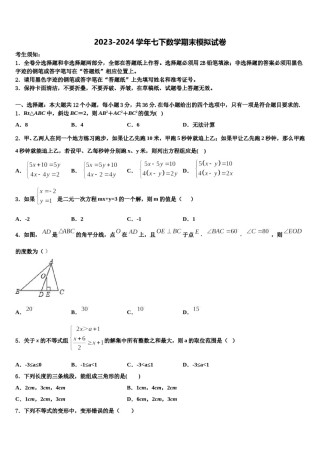 2023-2024学年湖北省黄石市十四中学教育集团七下数学期末质量跟踪监视模拟试题含解析.doc