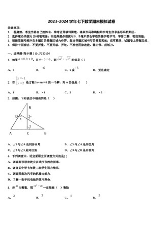 2023-2024学年湖南省张家界市民族中学七年级数学第二学期期末预测试题含解析.doc