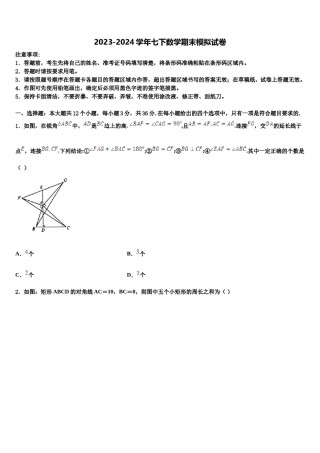 2023-2024学年湖南省祁阳县七下数学期末教学质量检测试题含解析.doc