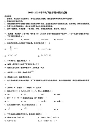 2023-2024学年湖南省耒阳市冠湘中学七下数学期末综合测试模拟试题含解析.doc