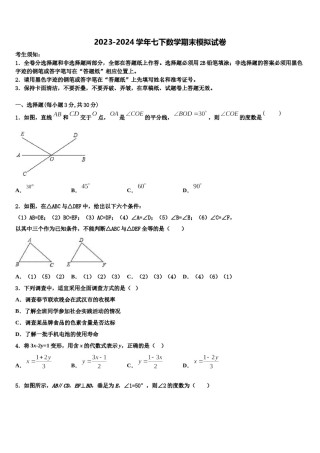 2023-2024学年湖南省邵阳市洞口县七年级数学第二学期期末考试模拟试题含解析.doc