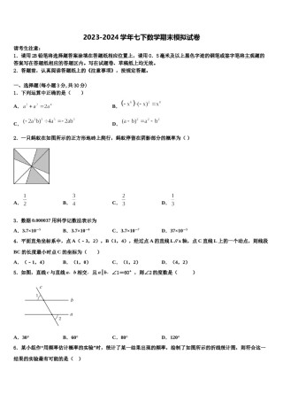 2023-2024学年湖南省邵阳市黄亭市镇中学七年级数学第二学期期末监测模拟试题含解析.doc
