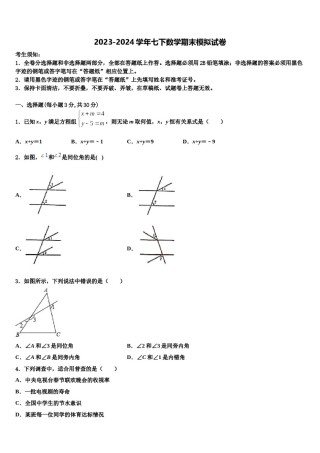 2023-2024学年湖南省郴州市七下数学期末经典模拟试题含解析.doc
