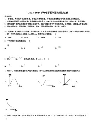 2023-2024学年湖南省长沙市浏阳市七年级数学第二学期期末调研模拟试题含解析.doc