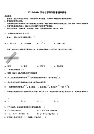 2023-2024学年湖南省长沙市西雅中学数学七下期末调研试题含解析.doc