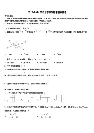 2023-2024学年湖南省长沙市青雅丽发中学数学七下期末联考模拟试题含解析.doc