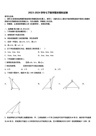 2023-2024学年湖南省雅礼教育集团数学七下期末考试模拟试题含解析.doc