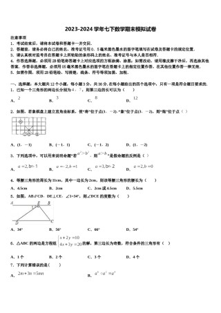 2023-2024学年湖南长沙市湖南师大附中集团数学七下期末质量跟踪监视试题含解析.doc