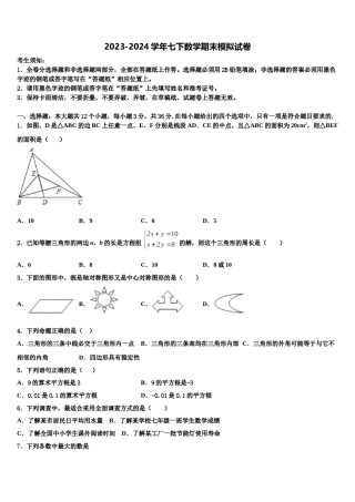2023-2024学年湖南长沙市雅礼洋湖实验中学数学七下期末监测模拟试题含解析.doc