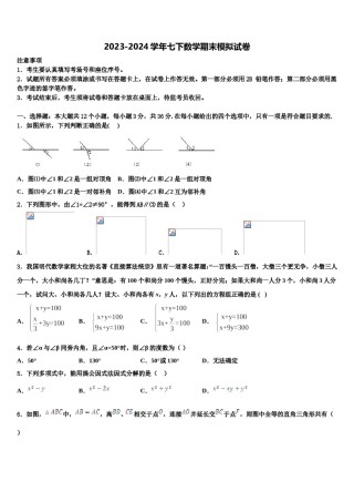 2023-2024学年甘肃省兰州市名校数学七下期末检测模拟试题含解析.doc