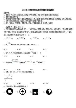 2023-2024学年甘肃省平凉市崇信县七年级数学第二学期期末质量检测模拟试题含解析.doc