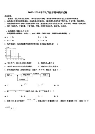 2023-2024学年甘肃省金昌市七下数学期末学业水平测试模拟试题含解析.doc